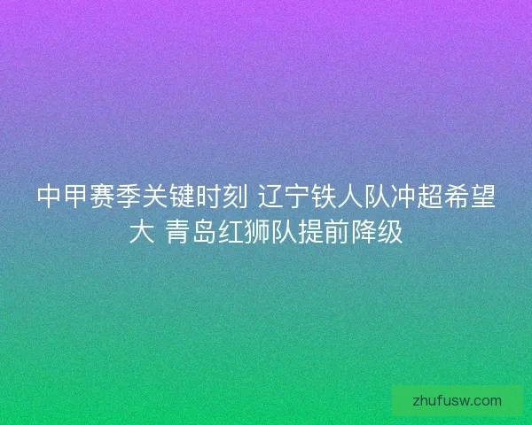 中甲赛季关键时刻 辽宁铁人队冲超希望大 青岛红狮队提前降级 中甲赛季关键时刻 辽宁铁人队冲超希望大 青岛红狮队提前降级
